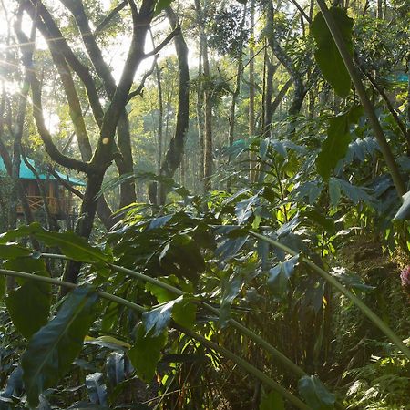 Dream Catcher Resort Munnar Esterno foto
