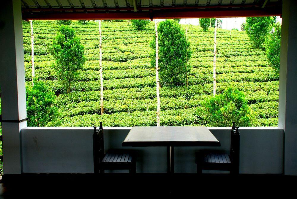 Dream Catcher Resort Munnar Esterno foto