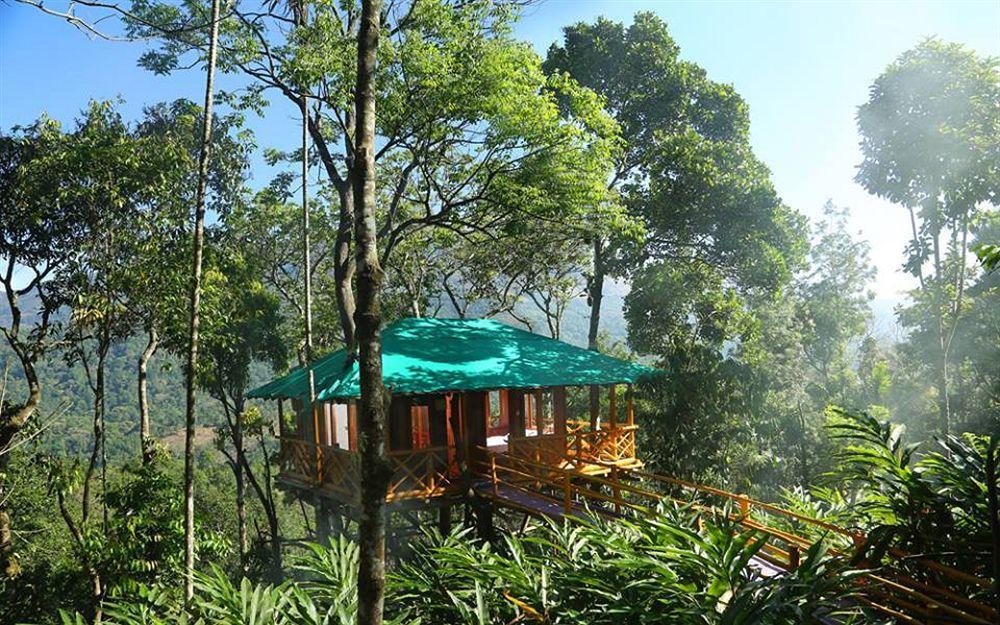 Dream Catcher Resort Munnar Esterno foto