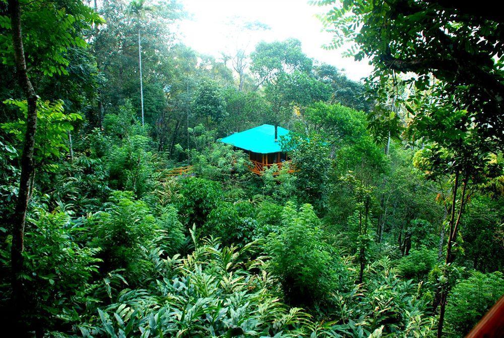 Dream Catcher Resort Munnar Esterno foto