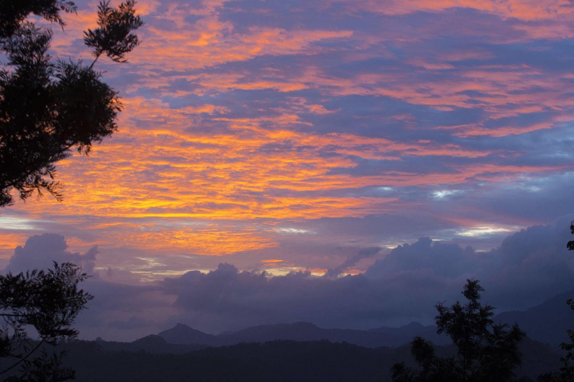 Dream Catcher Resort Munnar Esterno foto