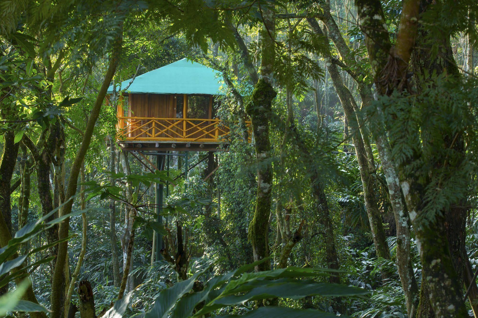 Dream Catcher Resort Munnar Esterno foto